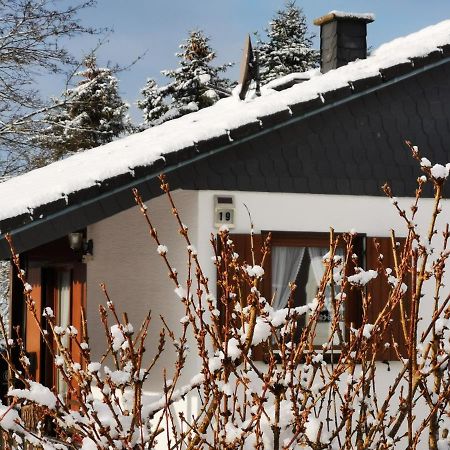 Bb19 Eifel-Ferienhaus Am Moseltal Mit Saunahaus Beuren  Екстериор снимка