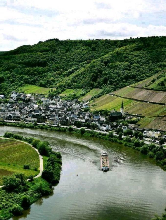 Bb19 Eifel-Ferienhaus Am Moseltal Mit Saunahaus Beuren  Екстериор снимка