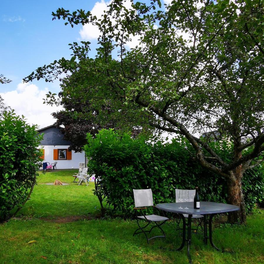 Bb19 Eifel-Ferienhaus Am Moseltal Mit Saunahaus Beuren  Екстериор снимка